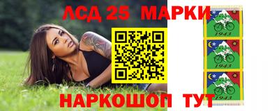 ECSTASY Новозыбков