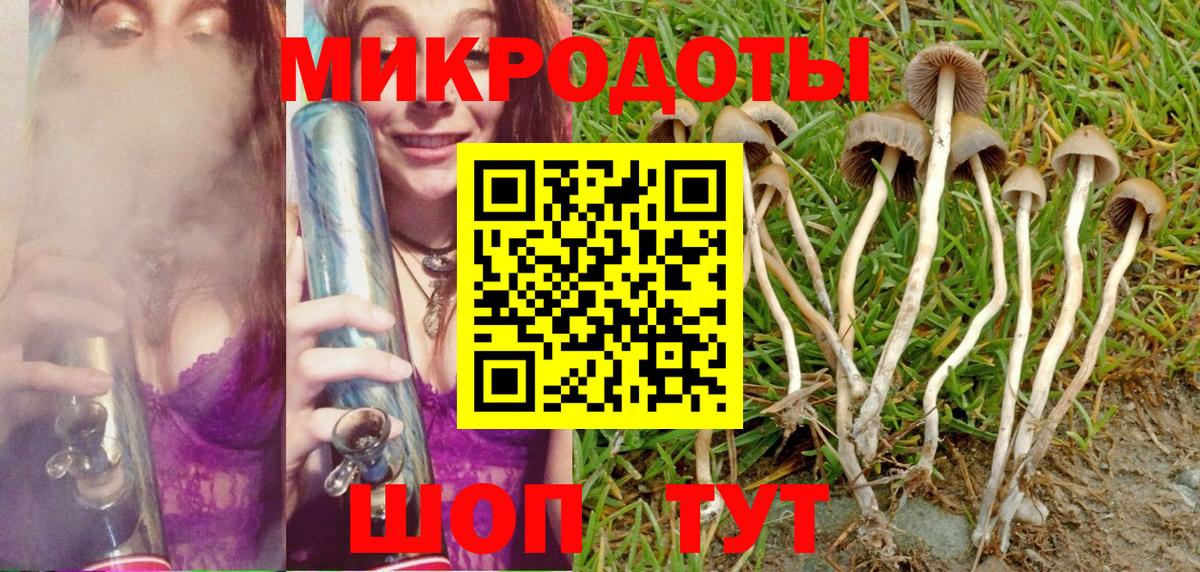 Галлюциногенные грибы Cubensis Рязань