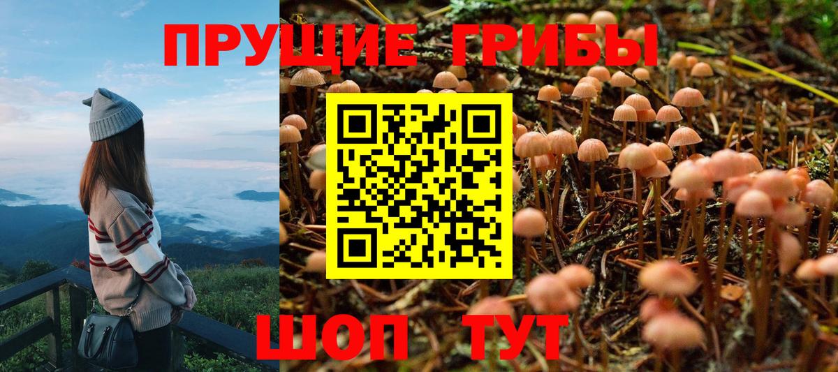 Рязань  Галлюциногенные грибы Magic Shrooms  Вход с VPN 